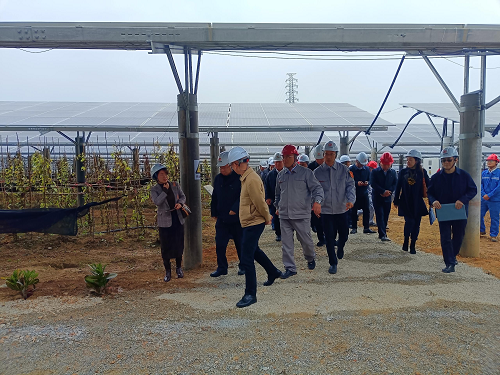 2cc96dd5d2a40a1632d29a5aa1276601.png 省工業(yè)和信息化廳副廳長吳東文及縱向幫扶組團(tuán)單位一行到葵潭農(nóng)場調(diào)研3.png