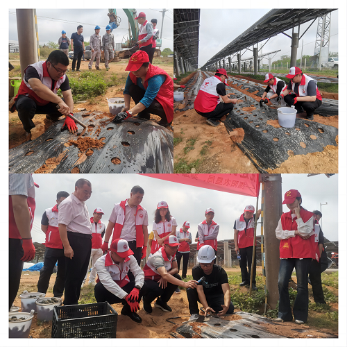 82977ce6b3bfb470da7cd834327fbcb6.png 現(xiàn)場(chǎng)種植.png