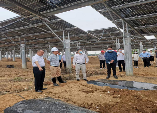 b5e2a6526bf0392bafdc4e1a649ffb1e.png 總局社事處、湛江農(nóng)墾到揭陽農(nóng)墾調(diào)研光伏板下種植魔芋.png